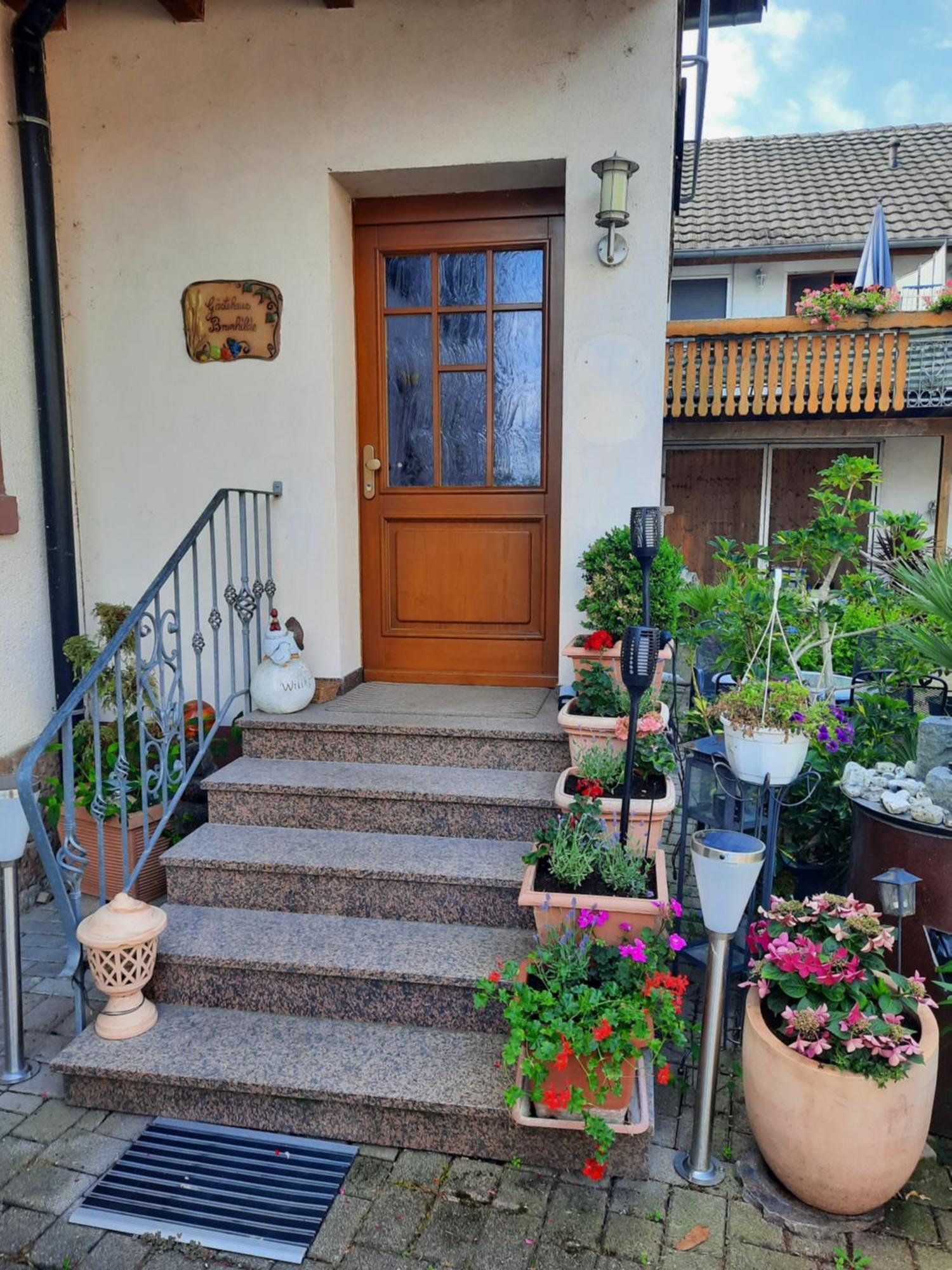 Meyerhof Apartment Wittenweier Екстериор снимка