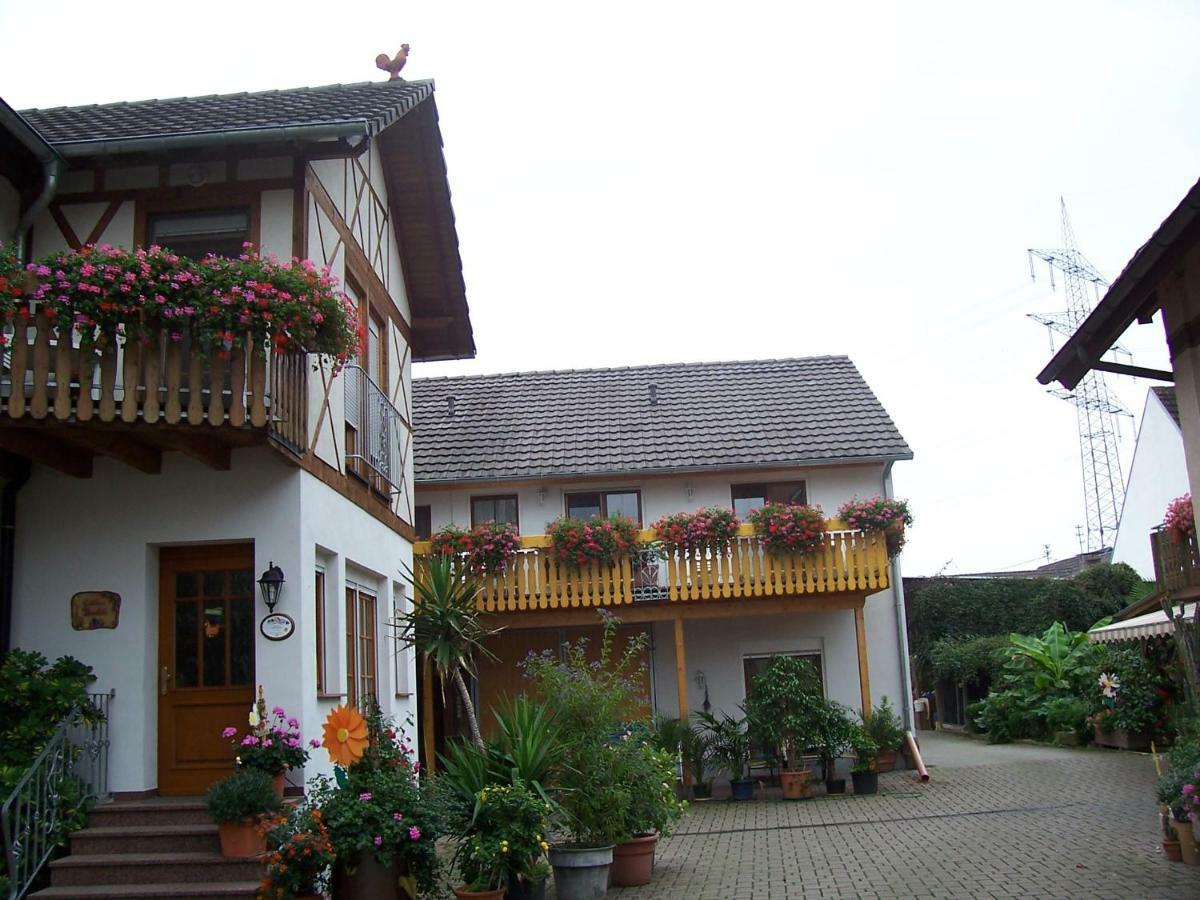 Meyerhof Apartment Wittenweier Екстериор снимка