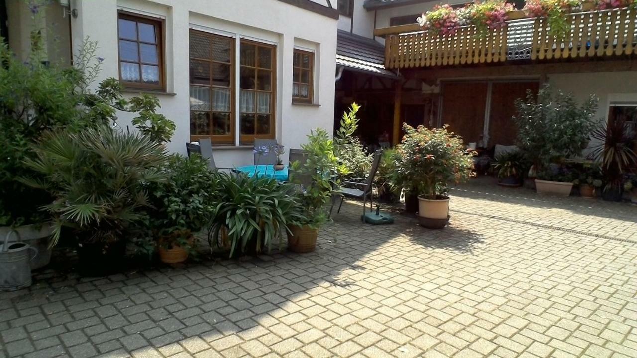 Meyerhof Apartment Wittenweier Екстериор снимка